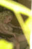x201.jpg (43448 octets)