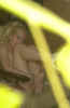 x202.jpg (45578 octets)
